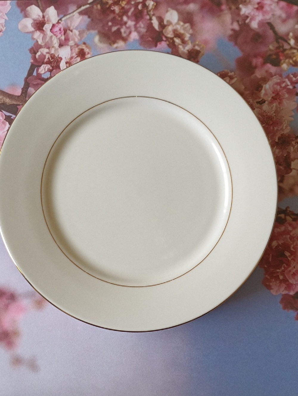 Classic White Dinner Plate with Gold Rim - Elegant Home Dining